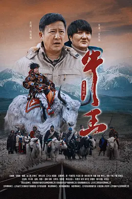 小蝌蚪导航