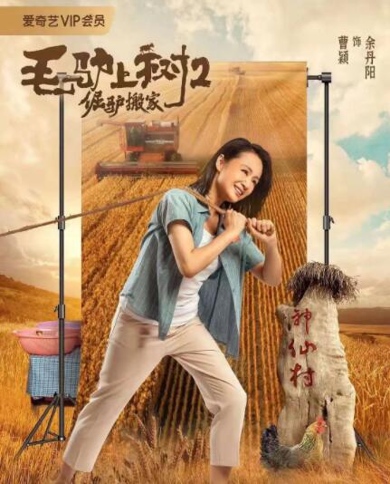 另类图片综合网