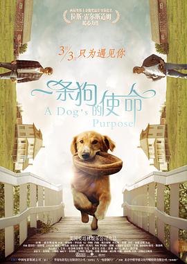 亚洲综合在线最大成人