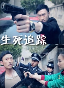 成人在线精品视频